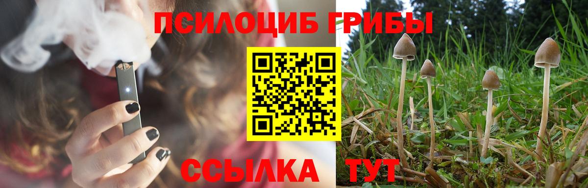 Псилоцибиновые грибы мухоморы Луга