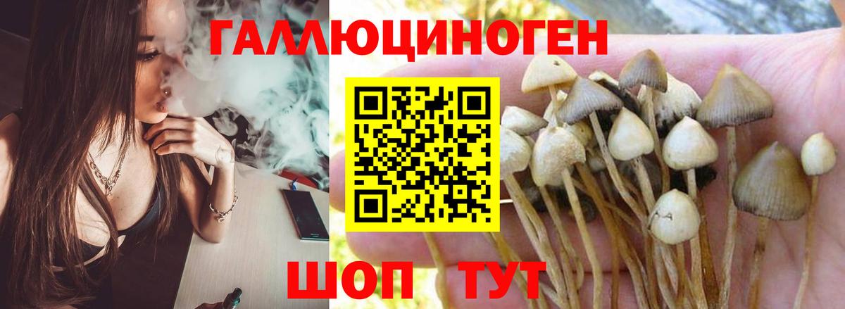 Псилоцибиновые грибы Magic Shrooms  Вход с VPN  Луга 